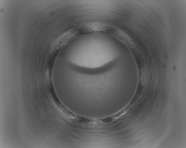 X0000067480410200604071144