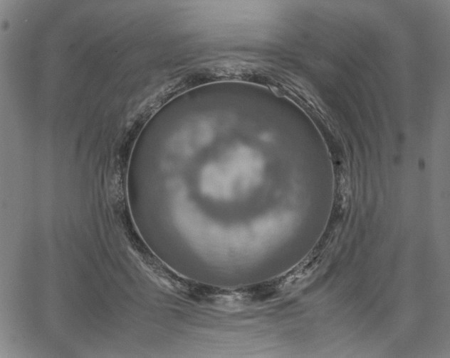 X0000067480411200604071144