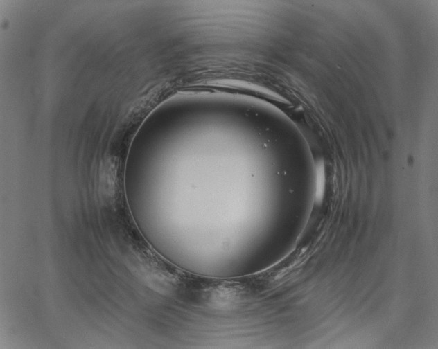 X0000067480412200604071144