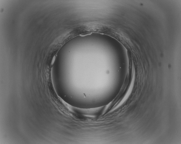 X0000067480413200604071144