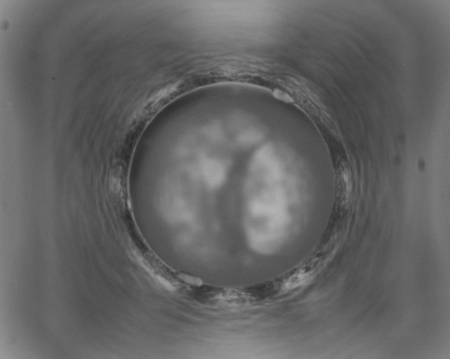 X0000067480415200604071144