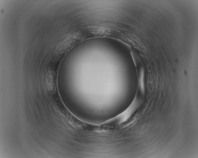 X0000067480416200604071144