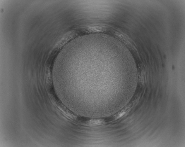 X0000067480418200604071144