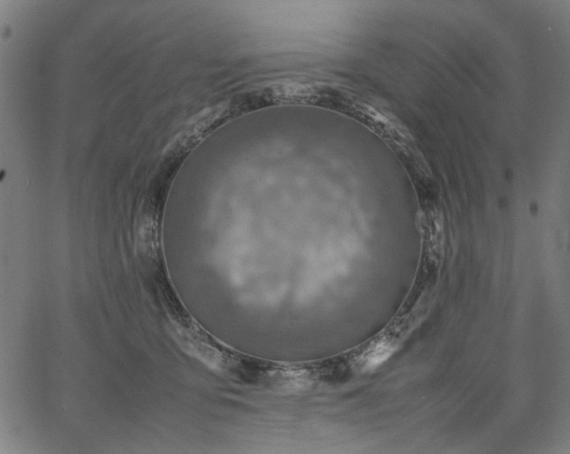 X0000067480419200604071144