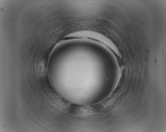 X0000067480420200604071144