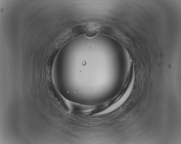 X0000067480421200604071144