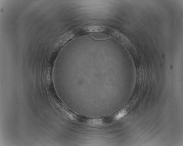 X0000067480422200604071144