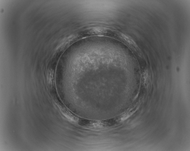 X0000067480423200604071144