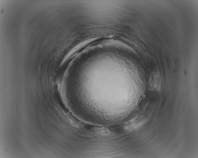 X0000067480424200604071143