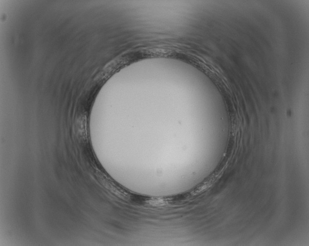 X0000067480425200604071143