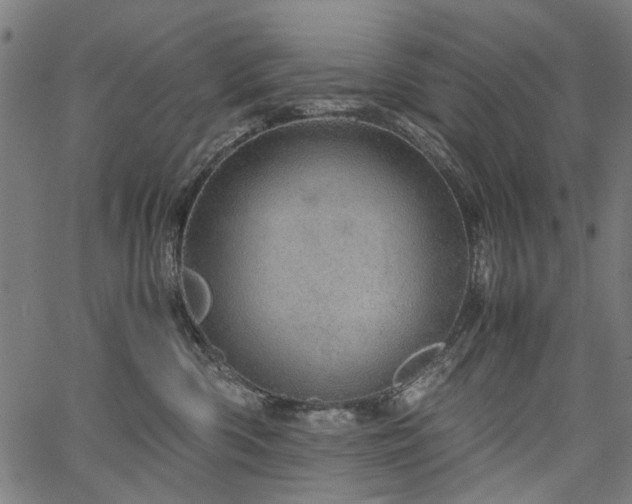 X0000067480426200604071143