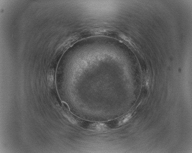 X0000067480427200604071143