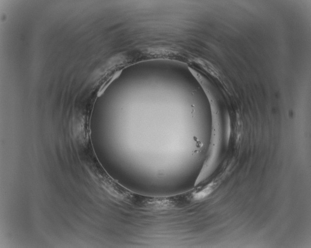 X0000067480428200604071143