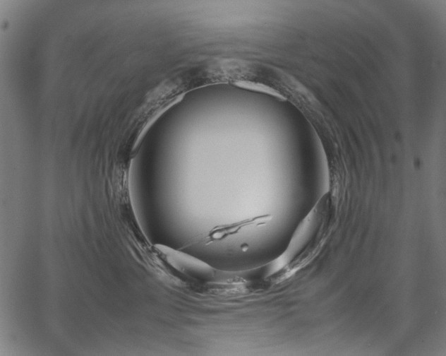 X0000067480429200604071143