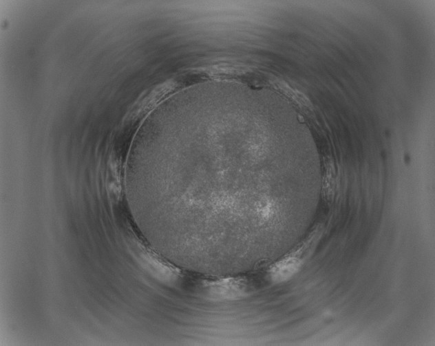 X0000067480430200604071143