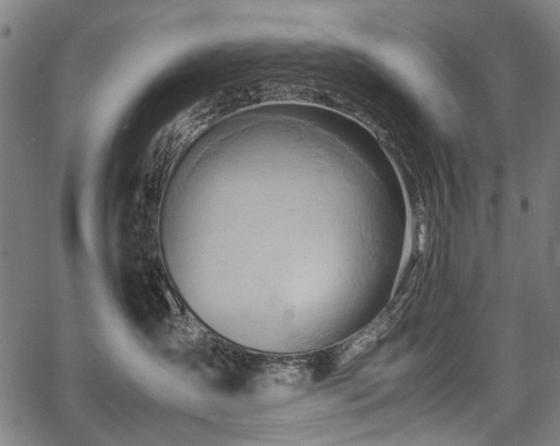 X0000067480431200604071143