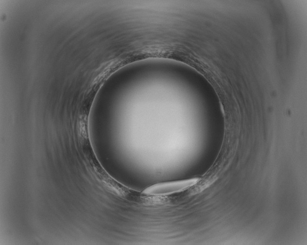 X0000067480432200604071143