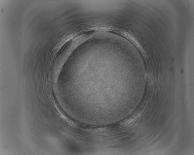 X0000067480433200604071143