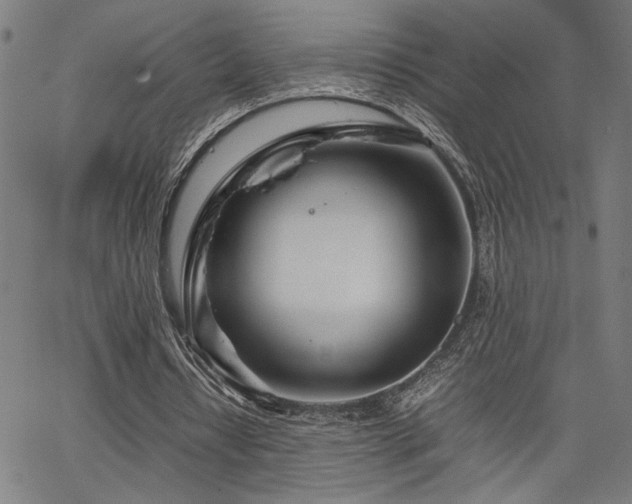 X0000067480434200604071143