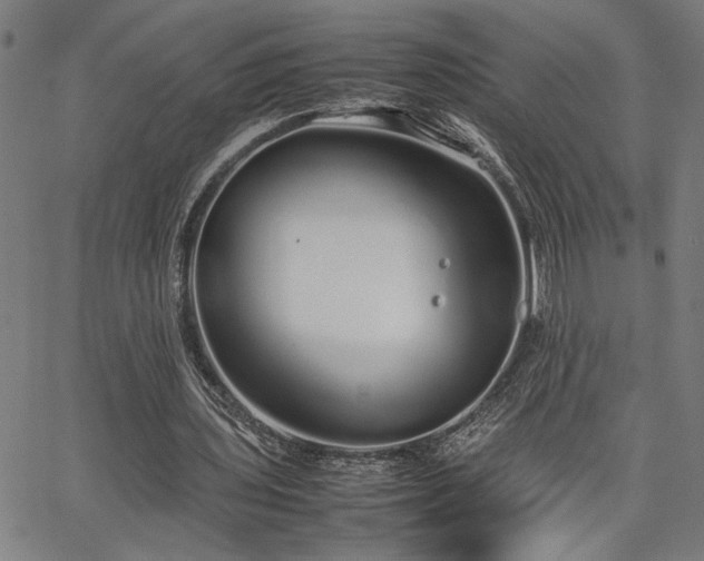 X0000067480435200604071143