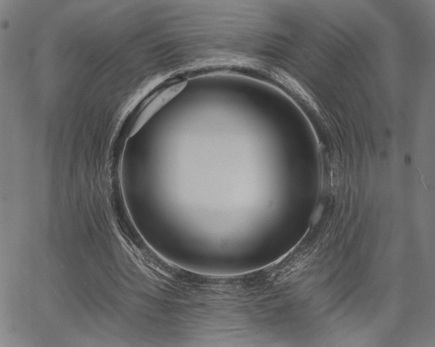 X0000067480436200604071143