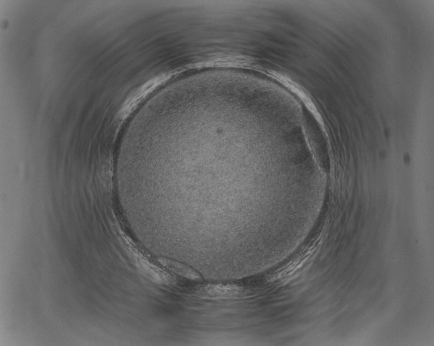 X0000067480437200604071143