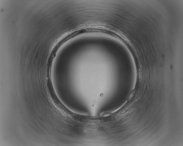 X0000067480438200604071143