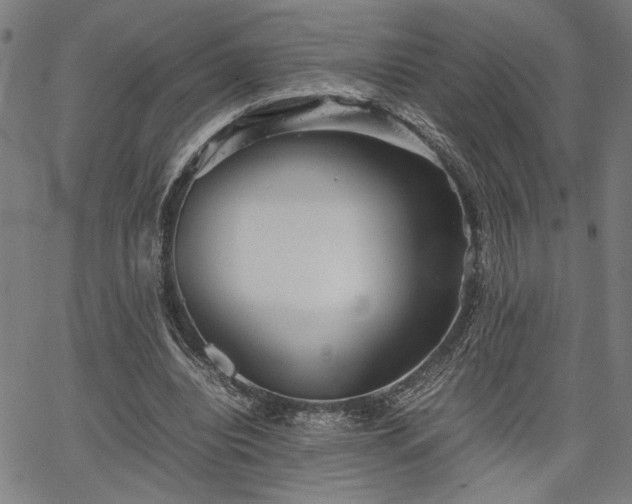 X0000067480440200604071143