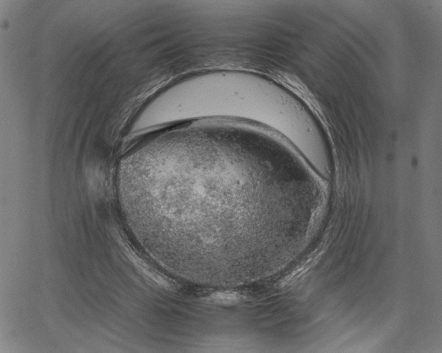 X0000067480441200604071143