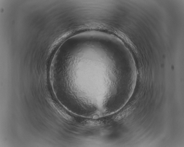 X0000067480442200604071143