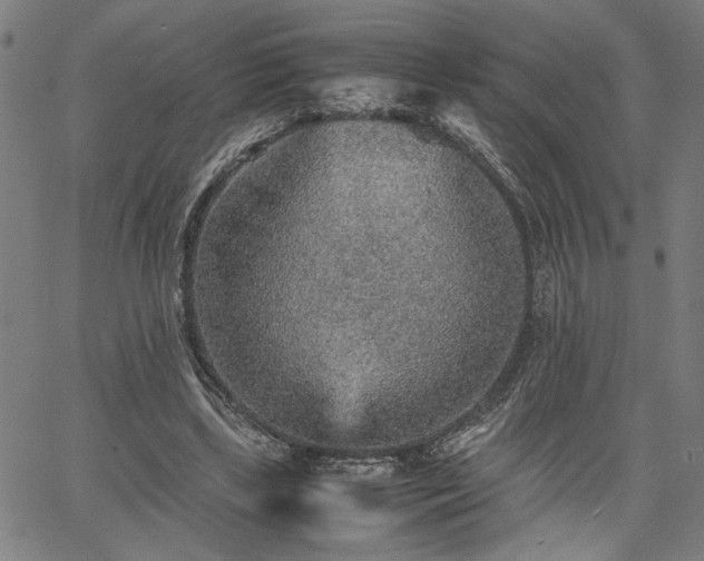 X0000067480443200604071143