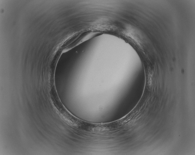 X0000067480444200604071143