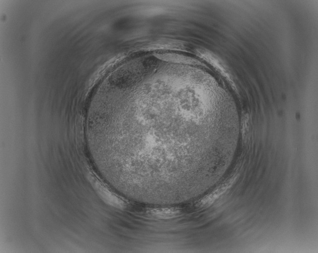 X0000067480445200604071143