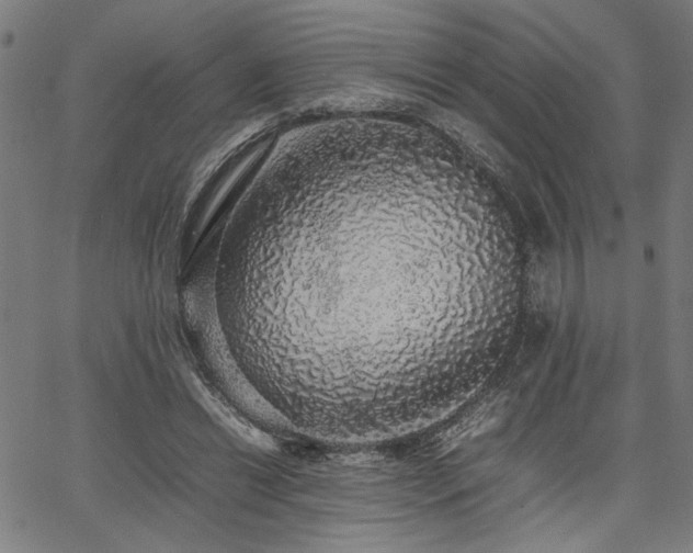 X0000067480446200604071143