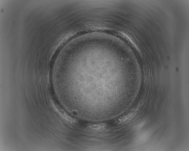 X0000067480447200604071143