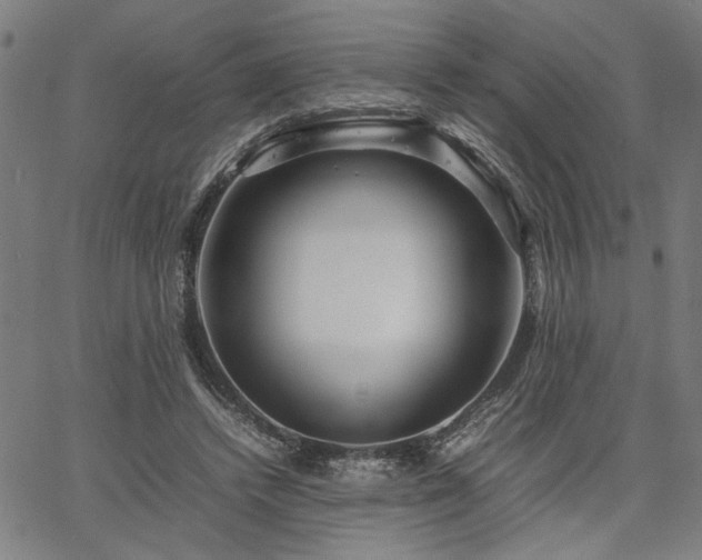 X0000067480448200604071143