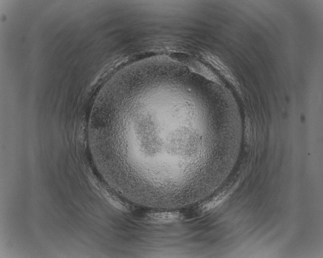 X0000067480449200604071143