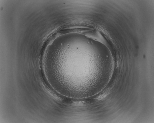 X0000067480450200604071143