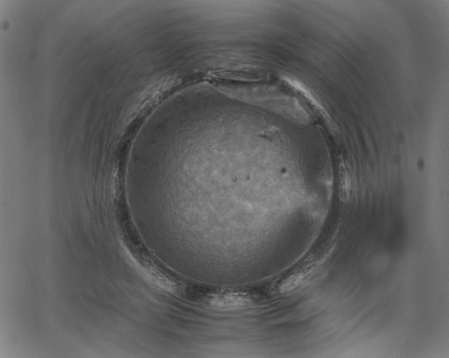 X0000067480451200604071143