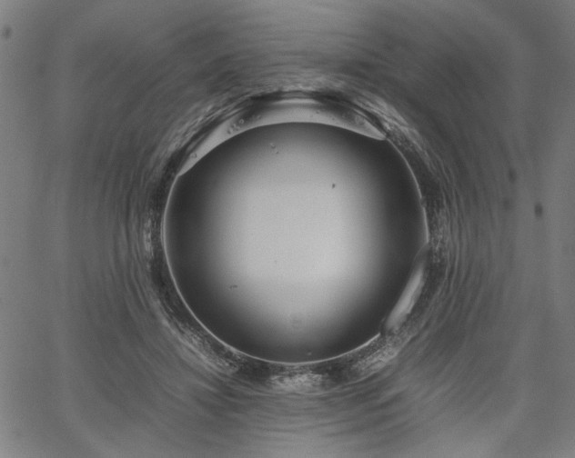 X0000067480452200604071143