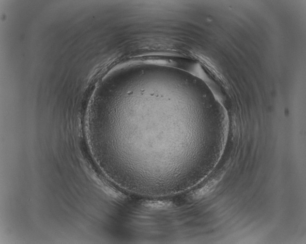 X0000067480453200604071143