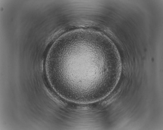 X0000067480454200604071143