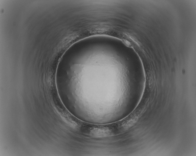 X0000067480455200604071143