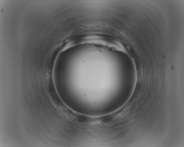 X0000067480456200604071143