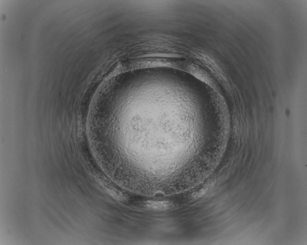 X0000067480457200604071143