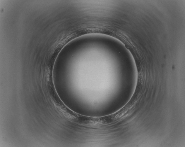 X0000067480458200604071143