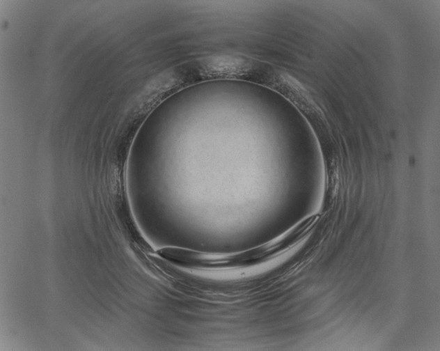 X0000067480459200604071143