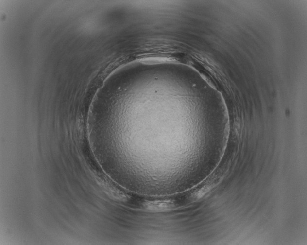 X0000067480461200604071143