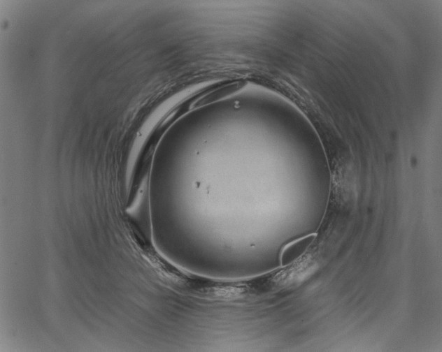 X0000067480462200604071143