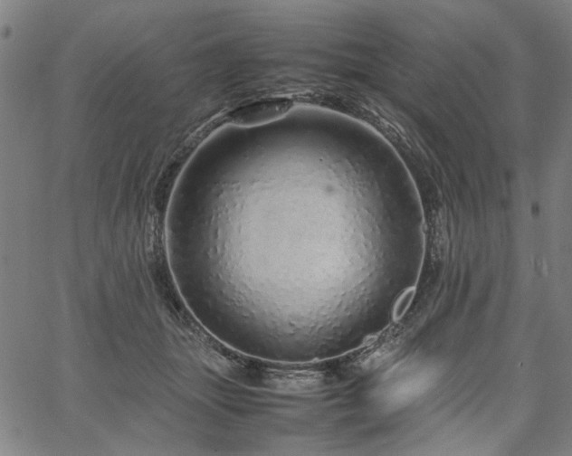 X0000067480463200604071143